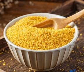 Hạt kê nếp hữu cơ Thực phẩm dưỡng sinh (500g)