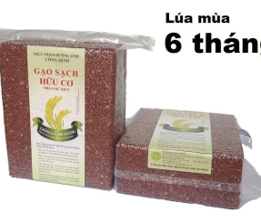 Gạo lứt đỏ Gạo sạch hữu cơ Công Định