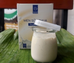 Sữa chua thuần chay